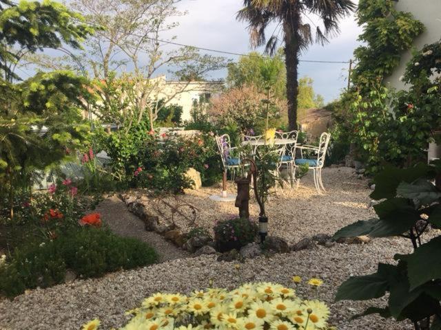Bed and Breakfast Chez Brown Saint-Thomas-de-Conac Экстерьер фото