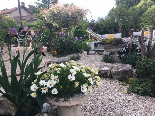 Bed and Breakfast Chez Brown Saint-Thomas-de-Conac Экстерьер фото